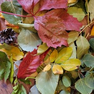 Meet your Posher, Fiona